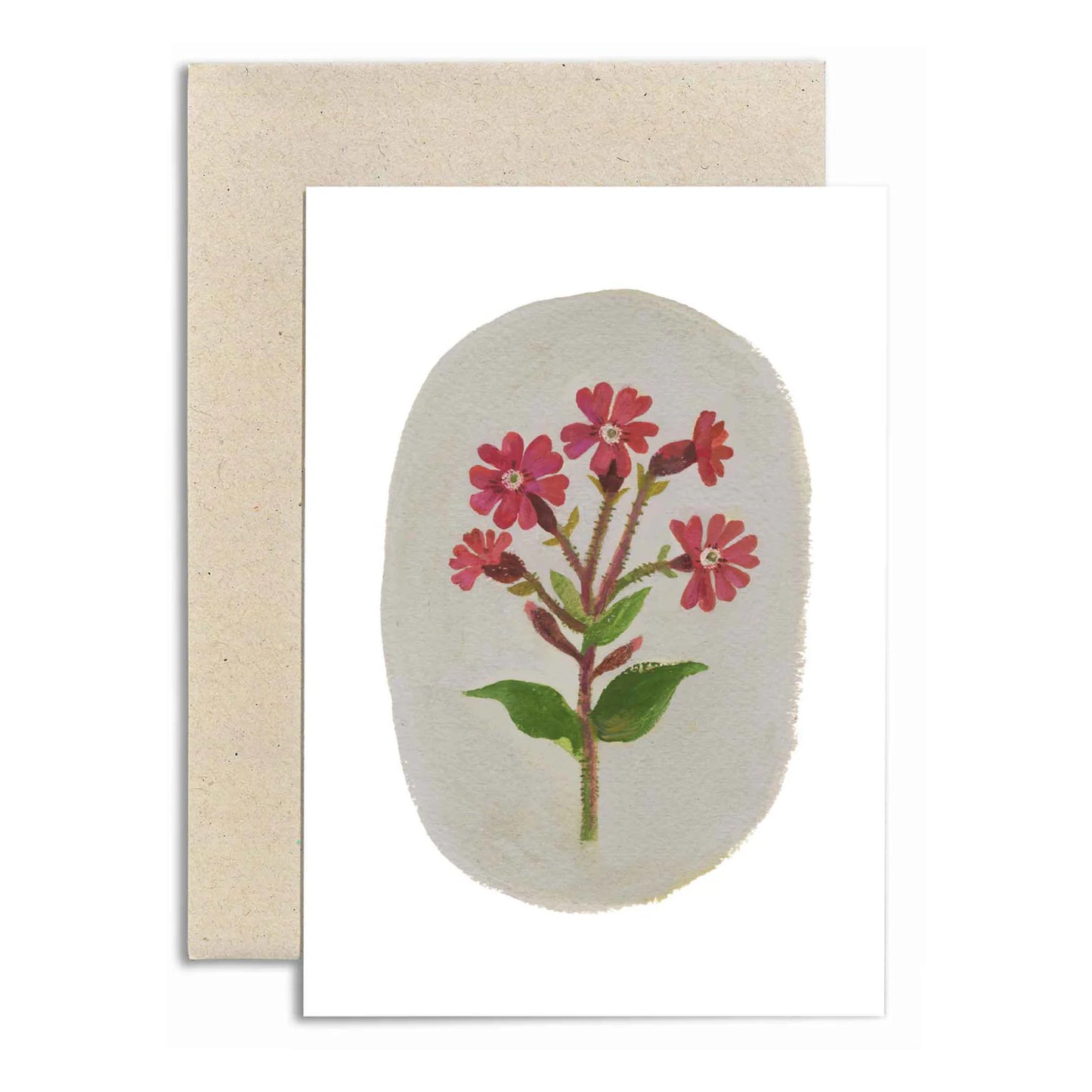 Red Campion | Card