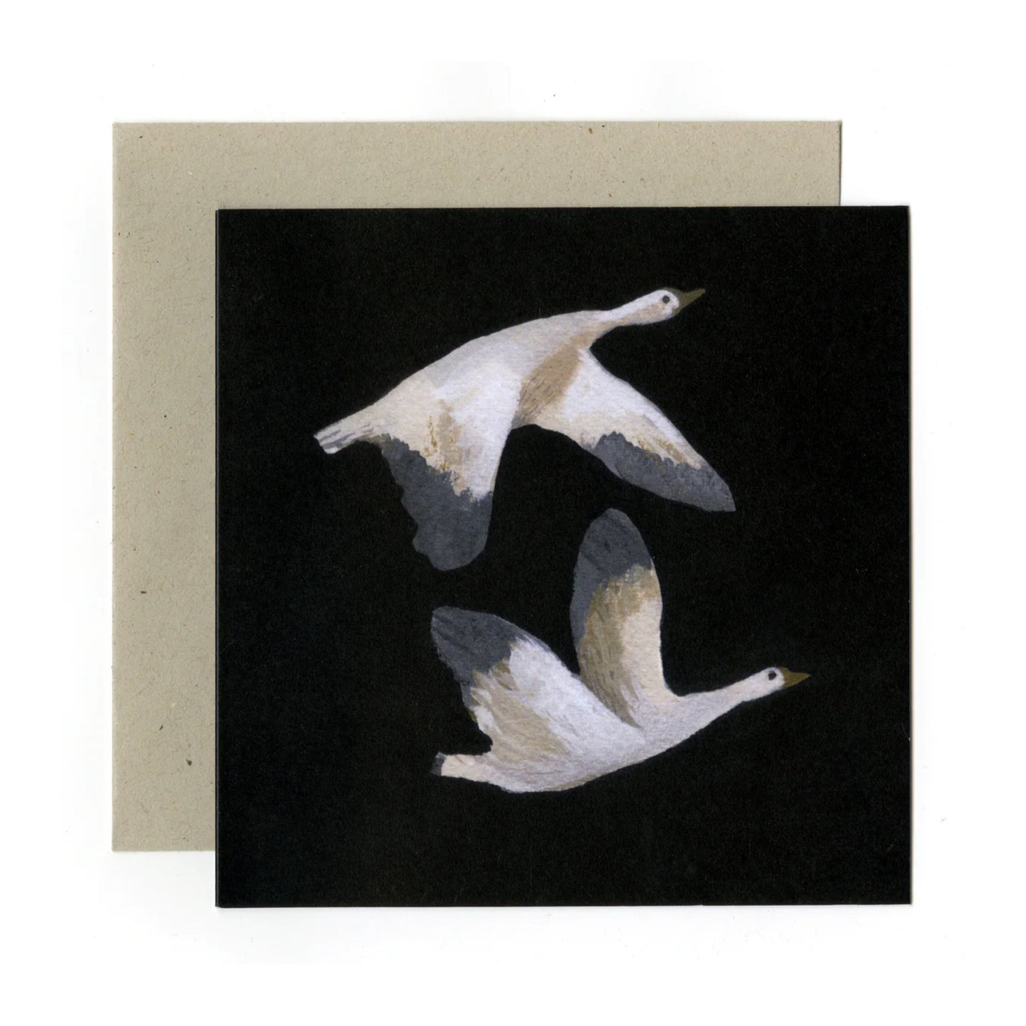 Snow Geese | Card