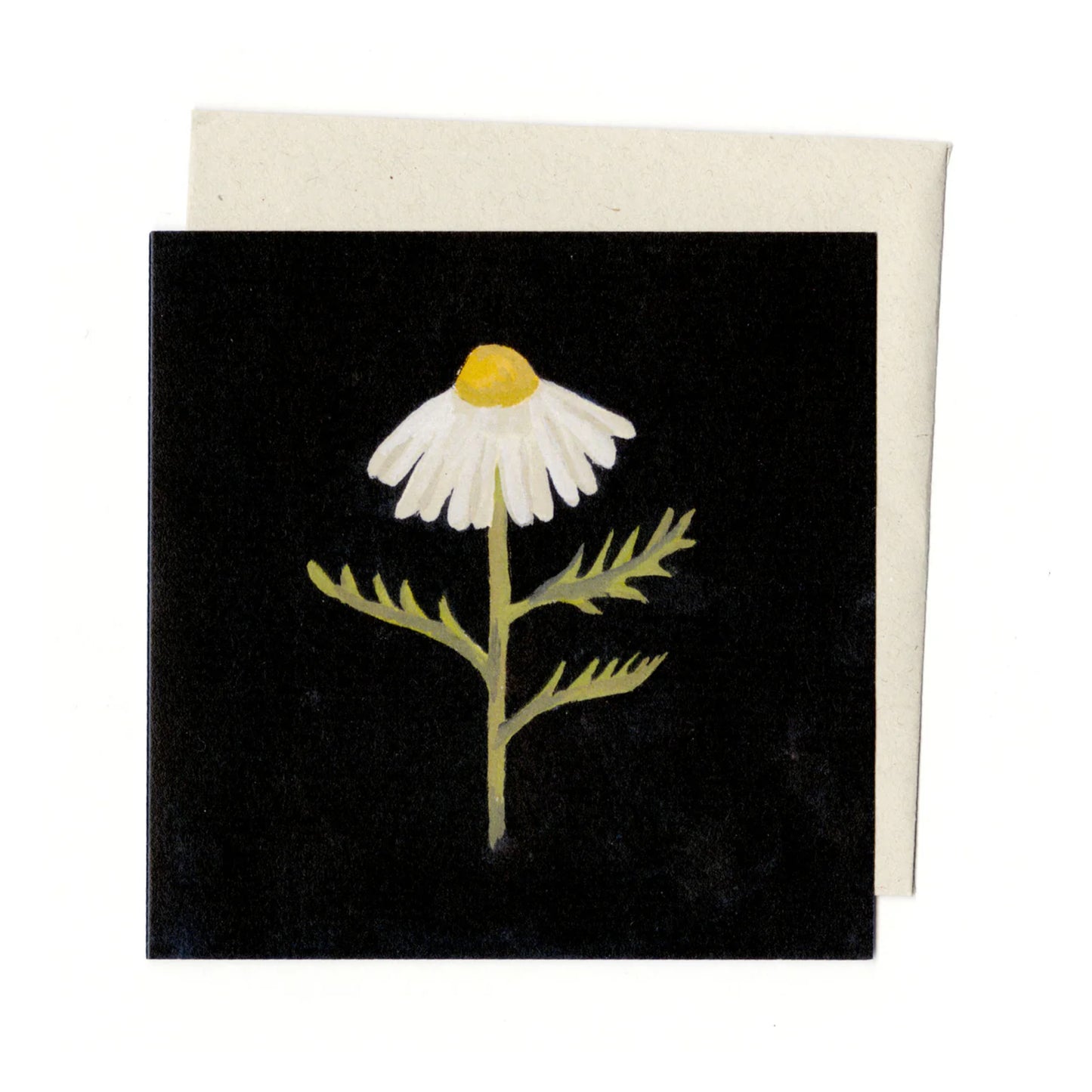 Chamomile | Card