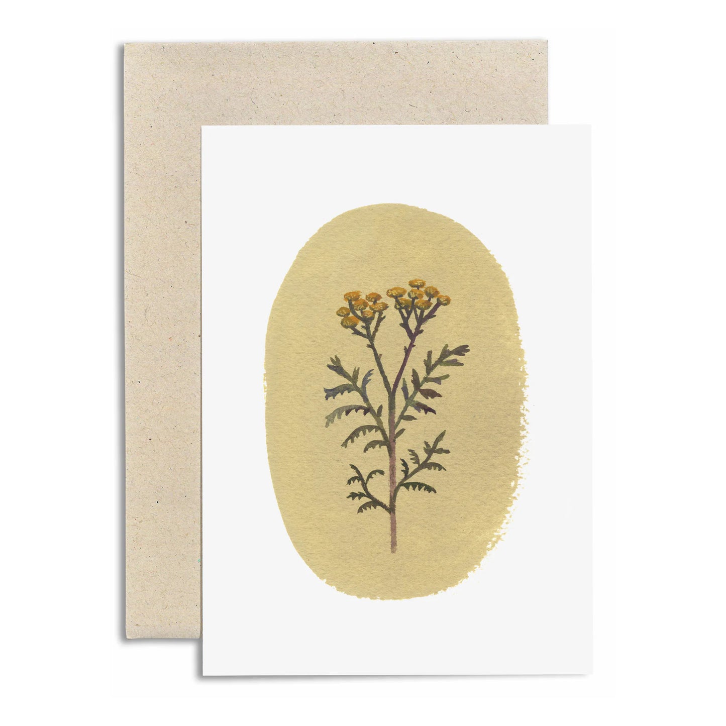 Tansy Card
