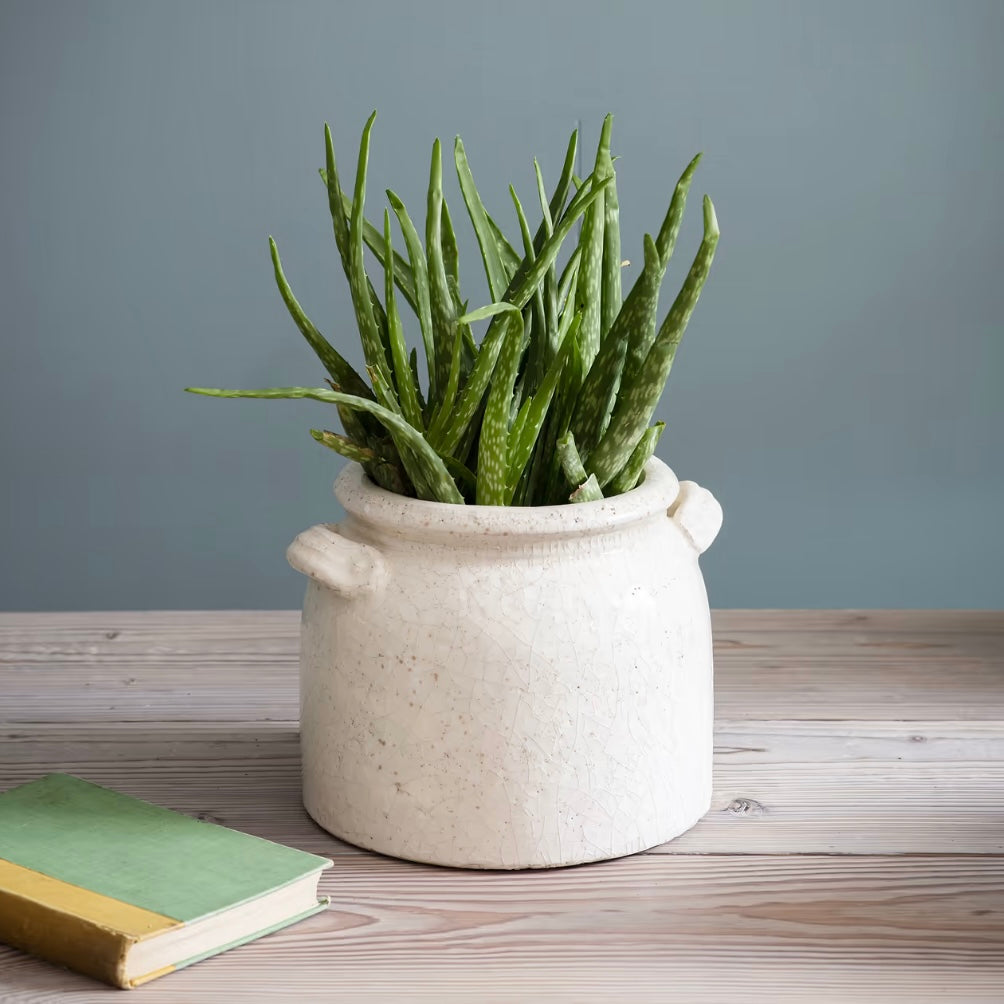 Ravello Ceramic Pot With Handles 21cm | White