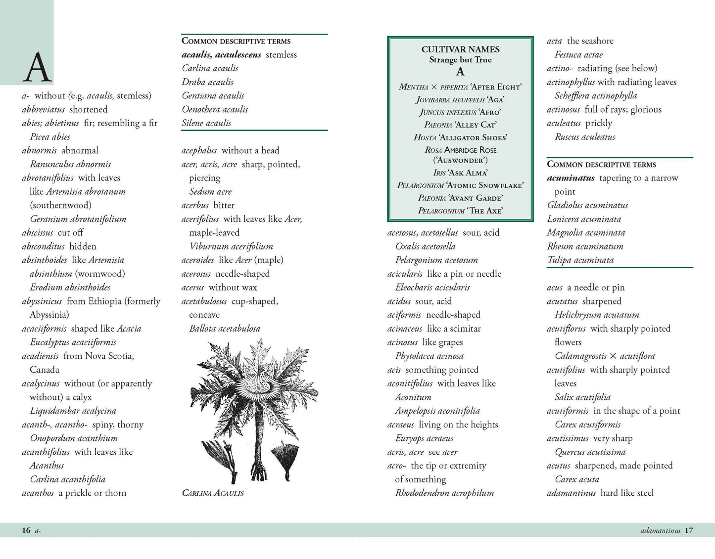 Plant Names Explained | Hardback Book