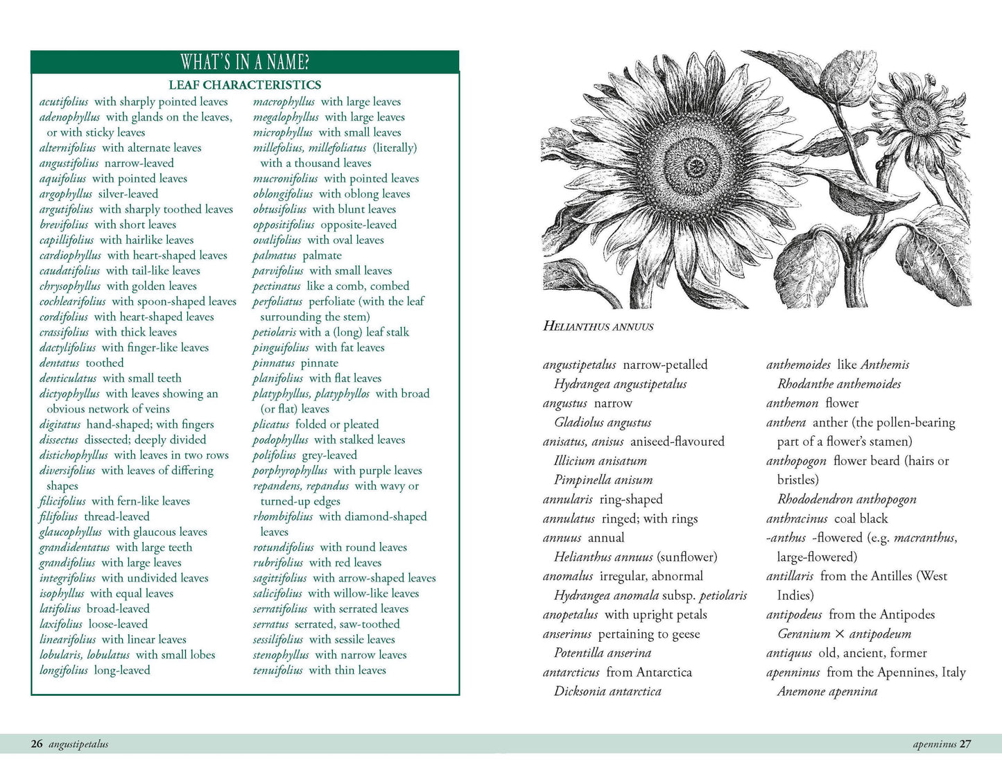 Plant Names Explained | Hardback Book