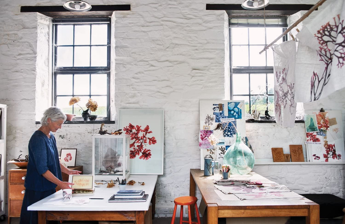 Seaweed: Foraging Collecting Printing | Hardback Book