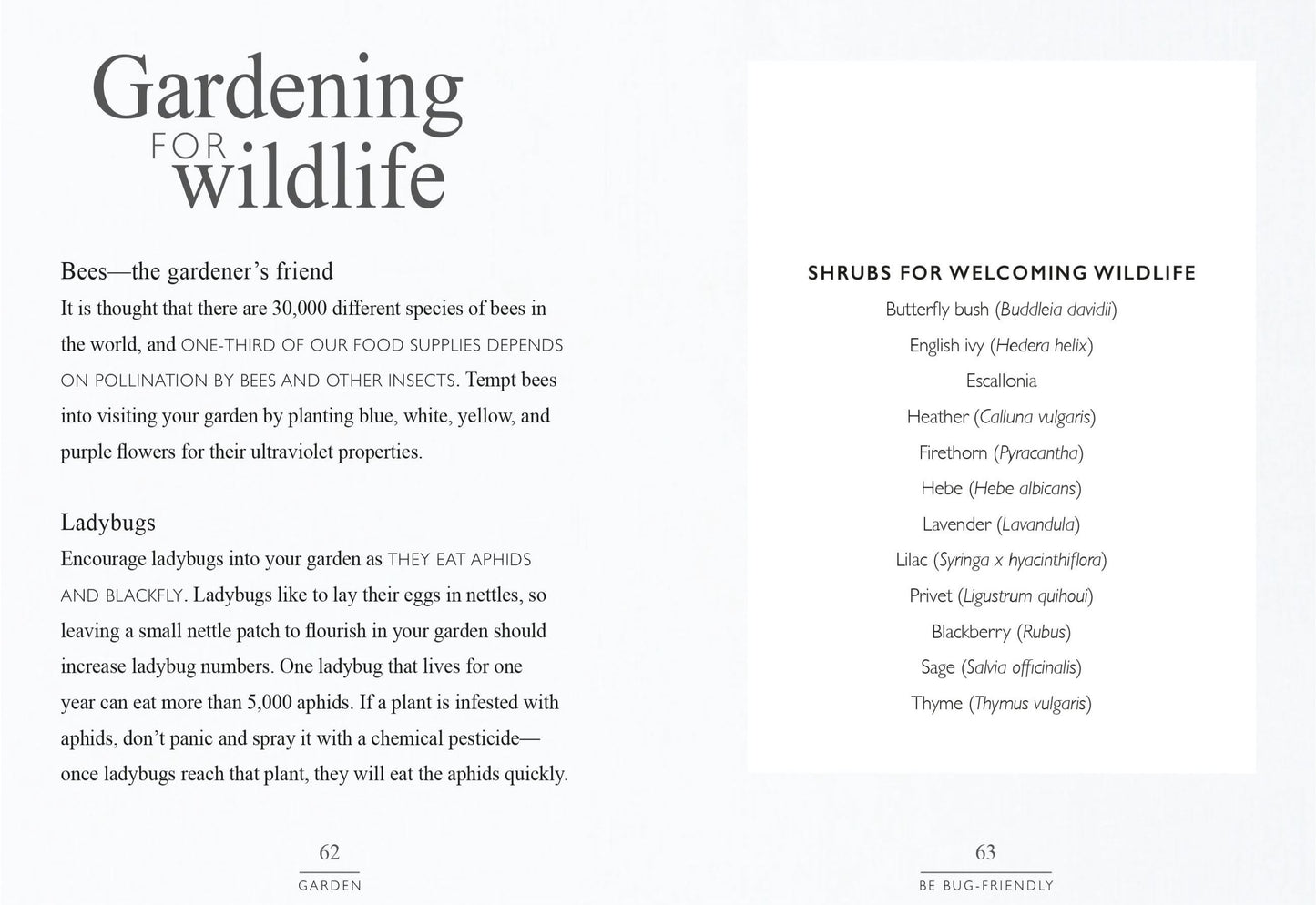 Sustain | Hardback Book