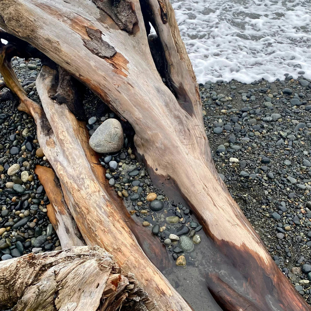 Sea Moss + Driftwood Diffuser Refill