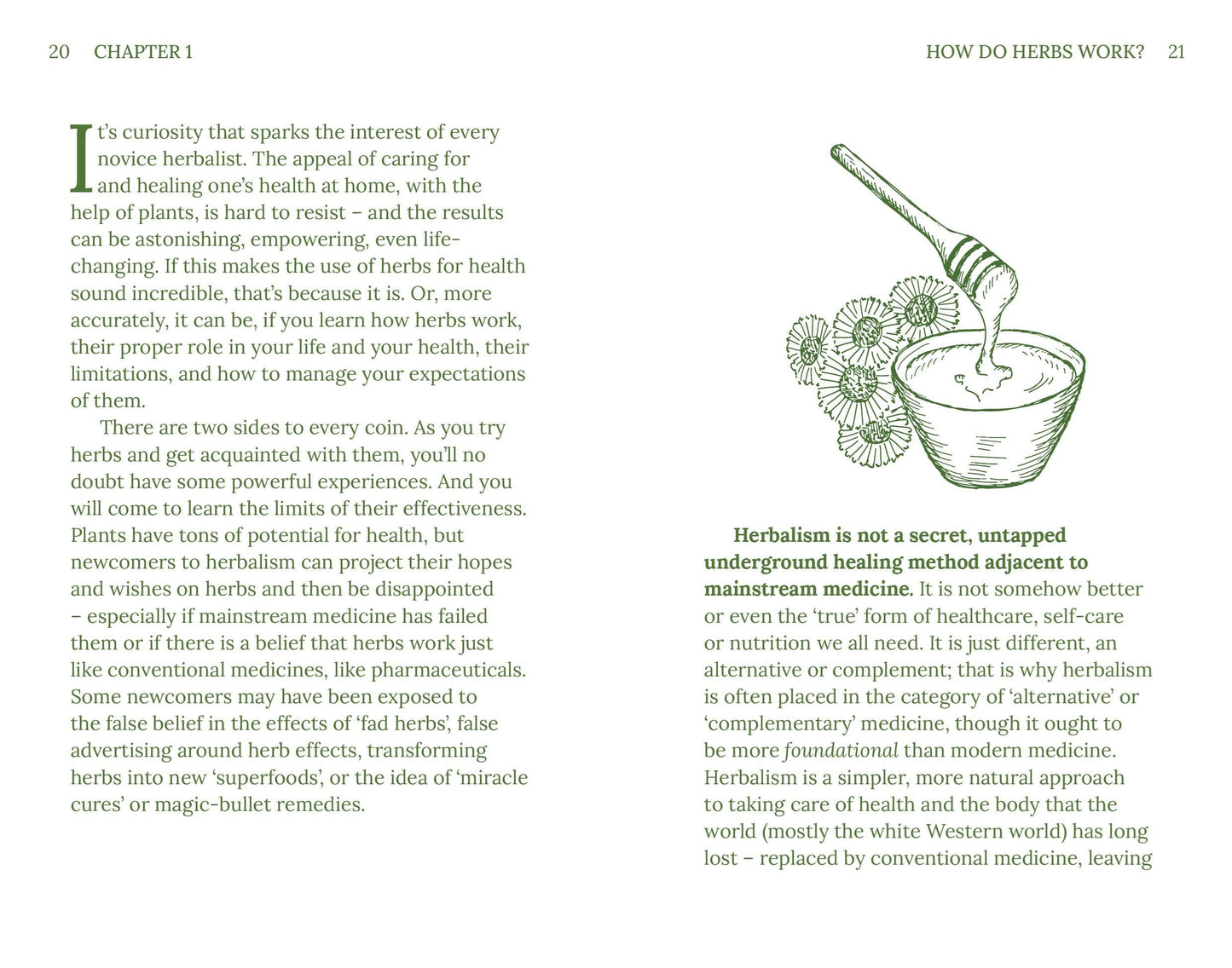 Herbalism | Plants + Potions That Heal