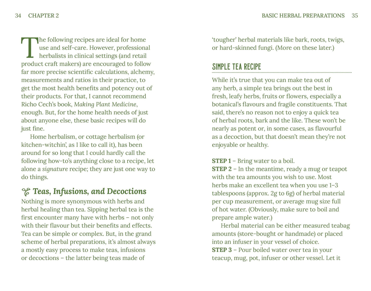 Herbalism | Plants + Potions That Heal