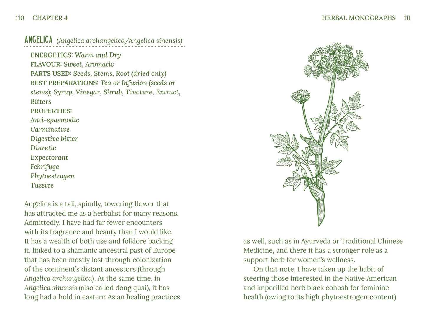 Herbalism | Plants + Potions That Heal