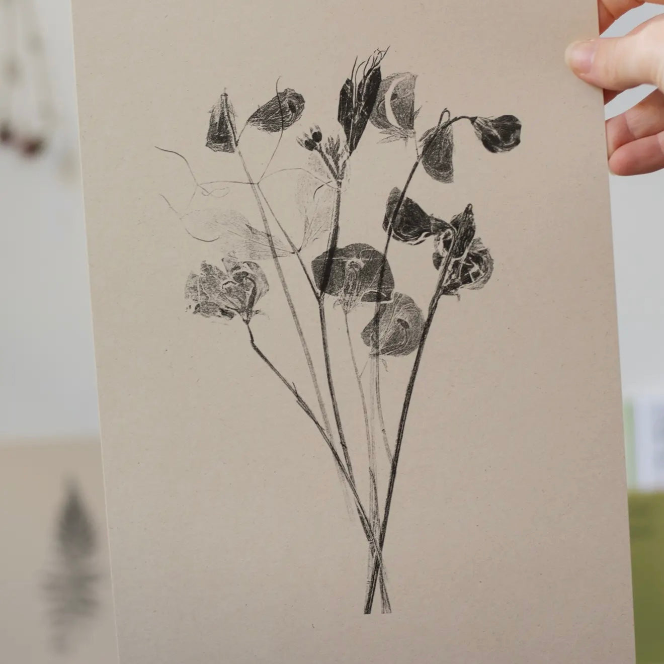 Botanical Art Print A4 | Sweet Peas