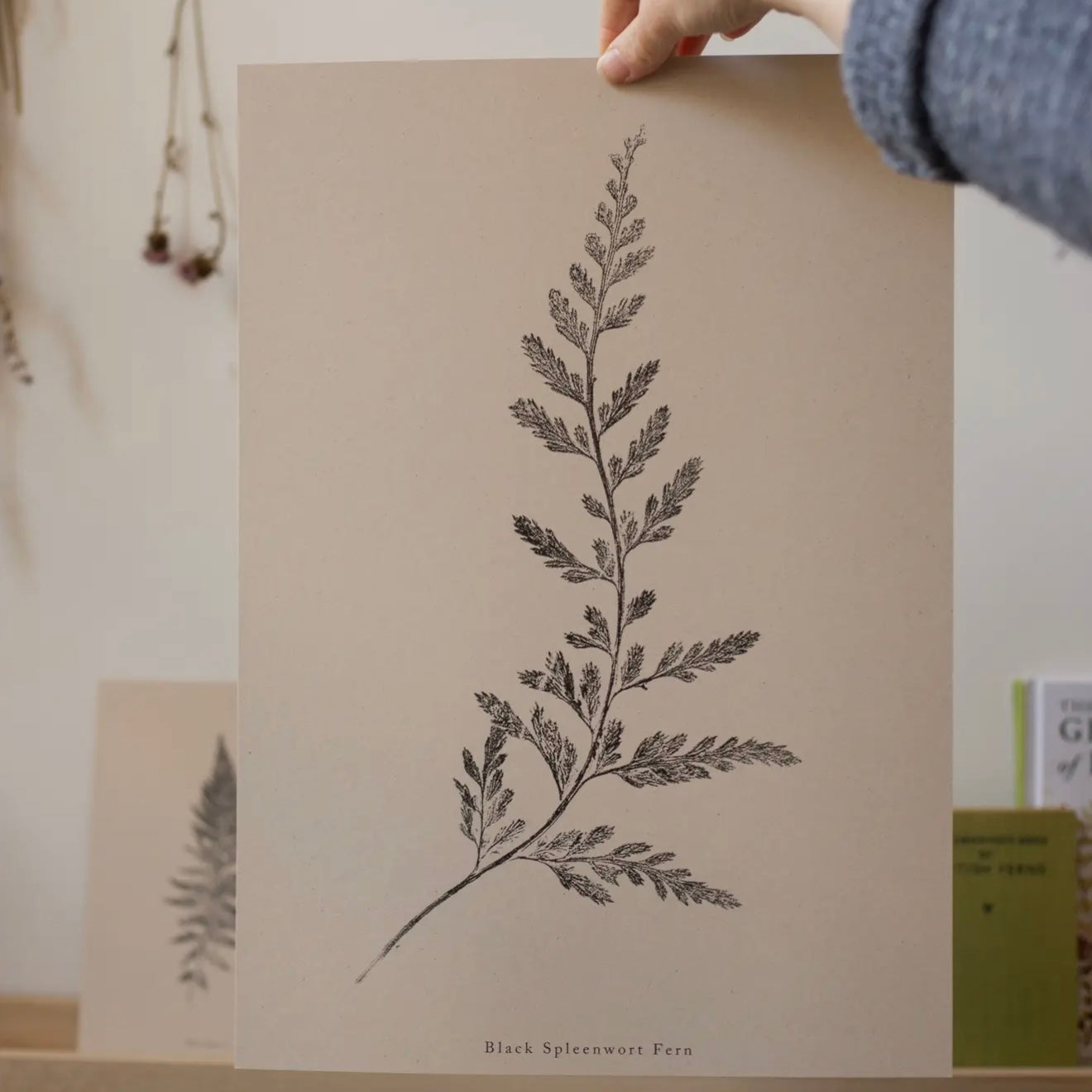 Botanical Art Print A4 | Fern