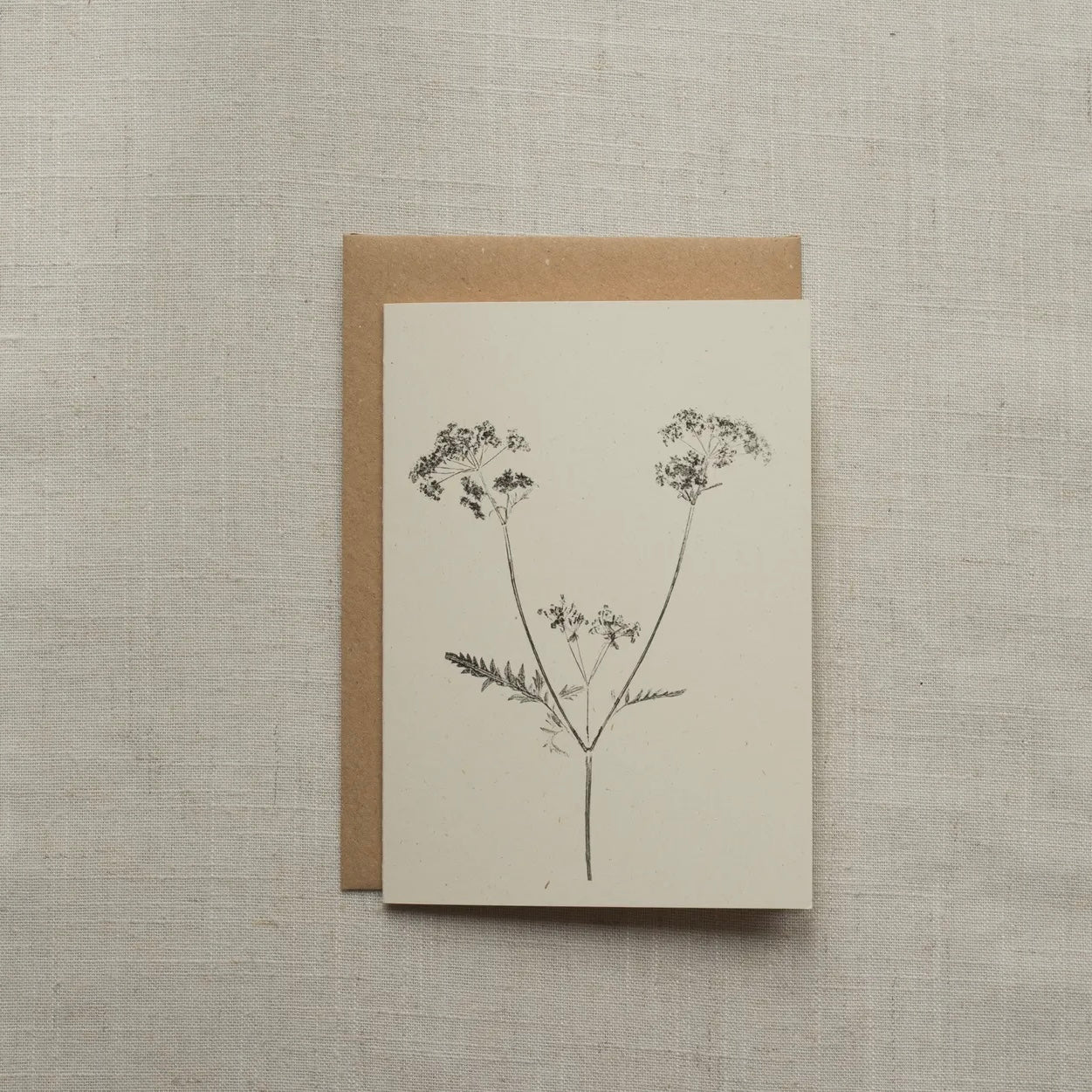Botanical Greeting Card | Cow Parsley