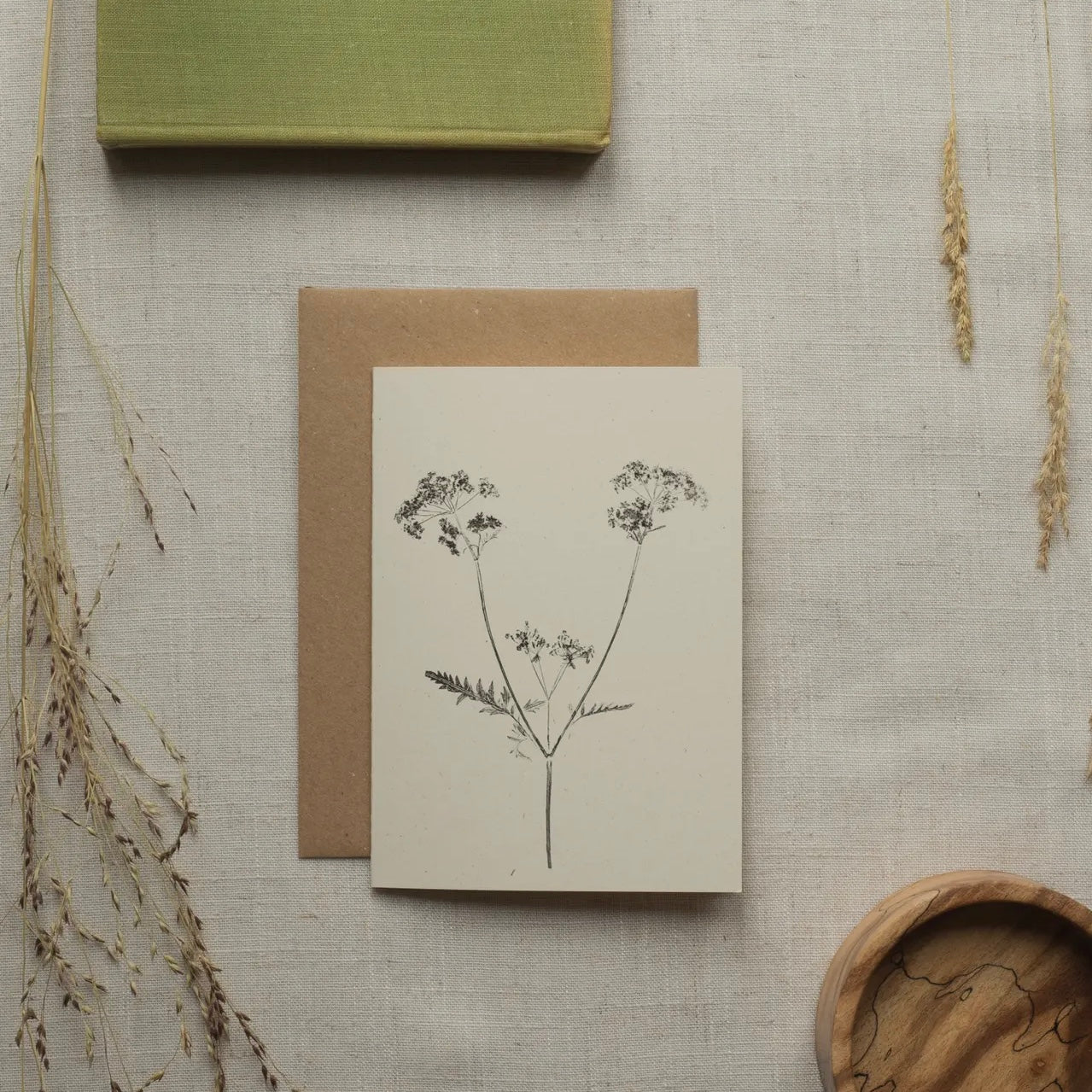 Botanical Greeting Card | Cow Parsley