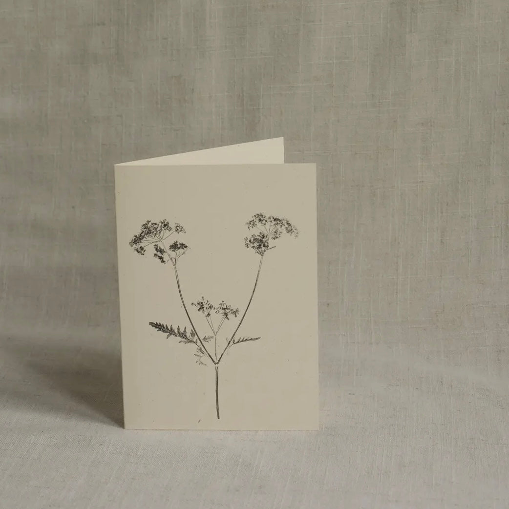 Botanical Greeting Card | Cow Parsley