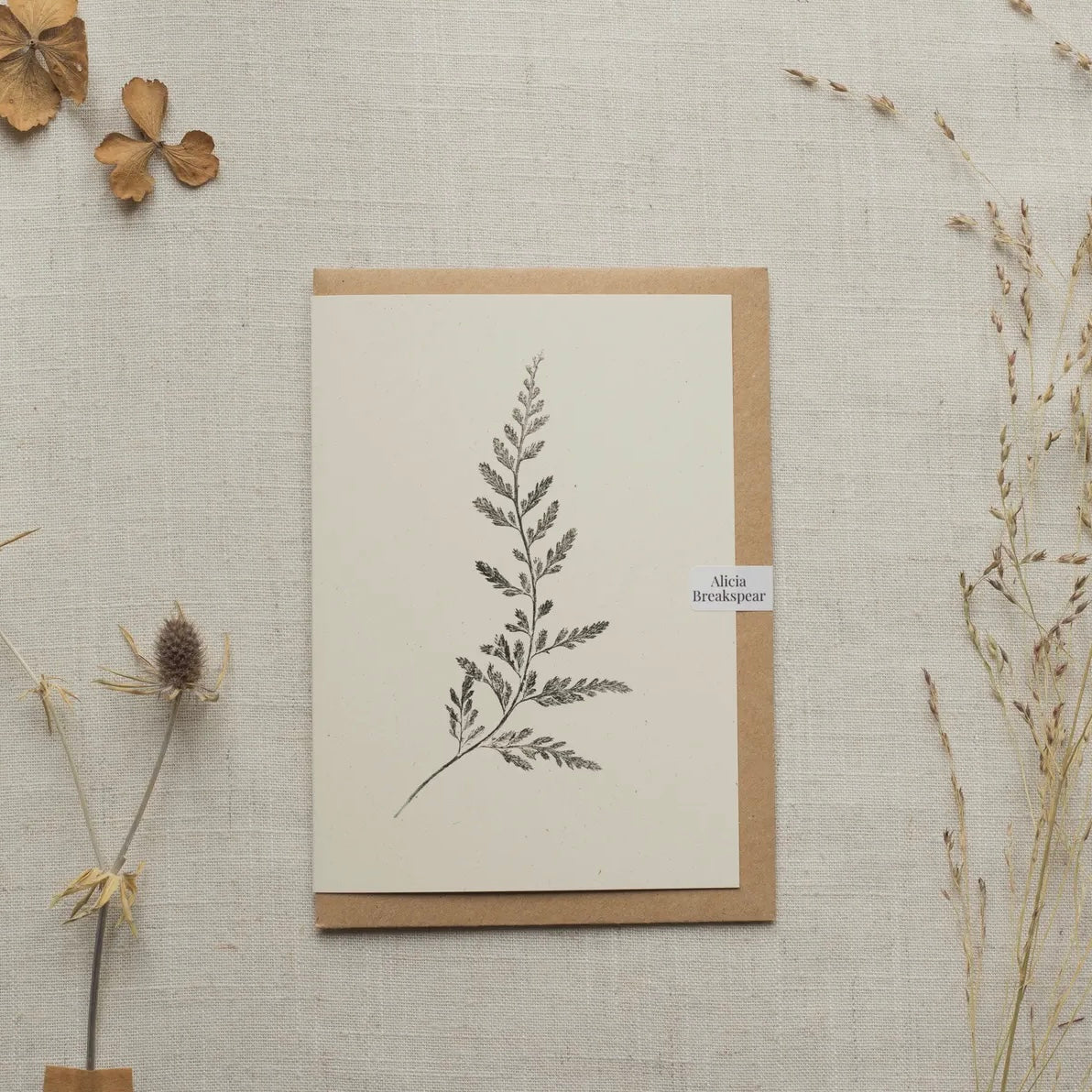 Botanical Greeting Card | Fern