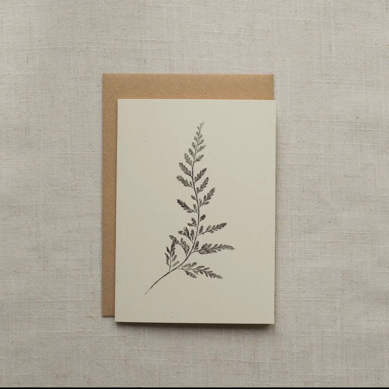 Botanical Greeting Card | Fern
