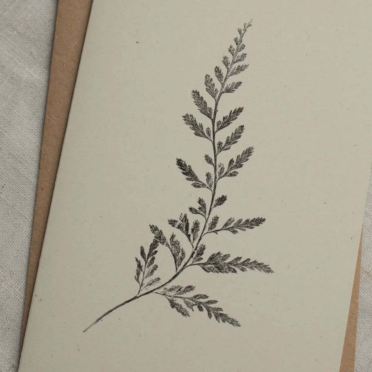 Botanical Greeting Card | Fern