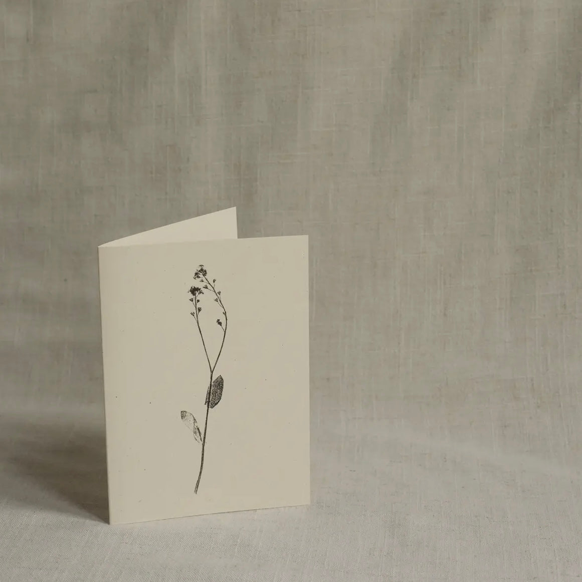 Botanical Greeting Card | Forget-Me-Not