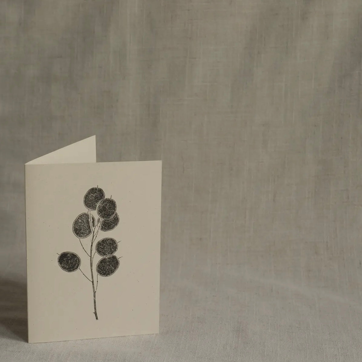 Botanical Greeting Card | Honesty Pods