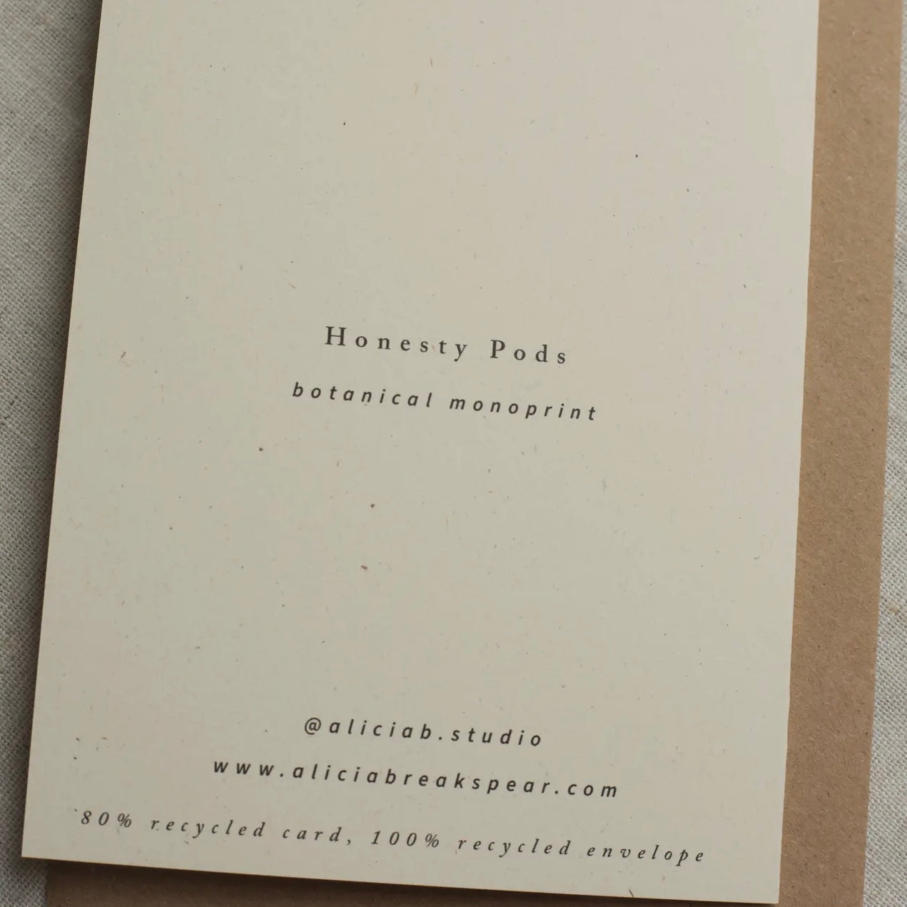Botanical Greeting Card | Honesty Pods