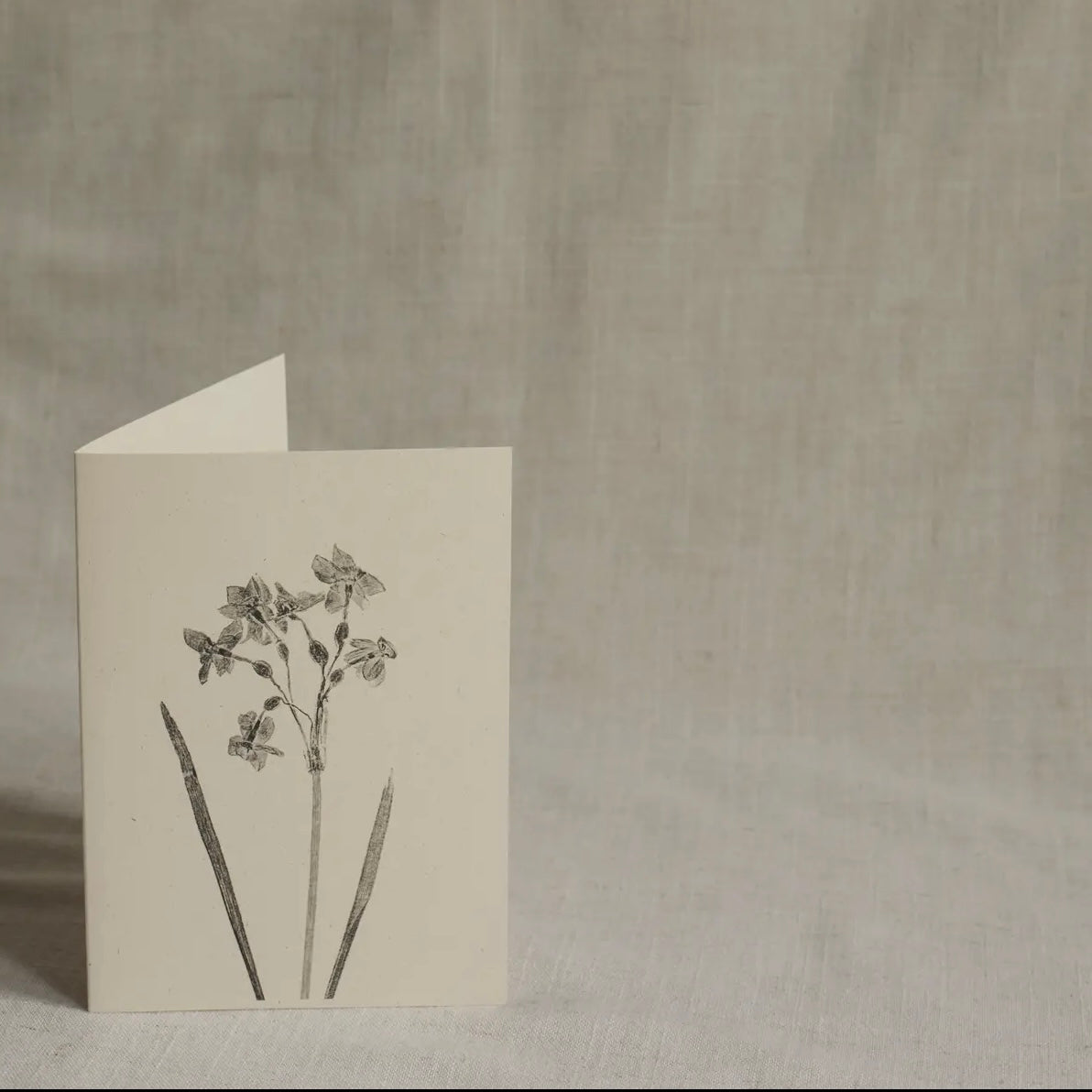 Botanical Greeting Card | Narcissus