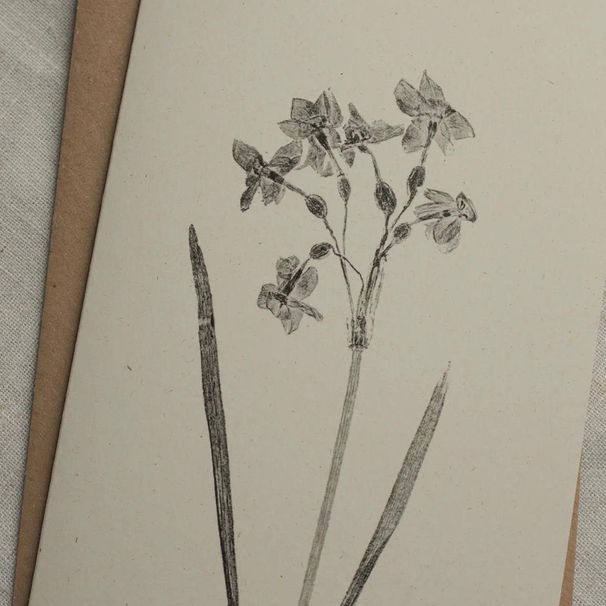 Botanical Greeting Card | Narcissus