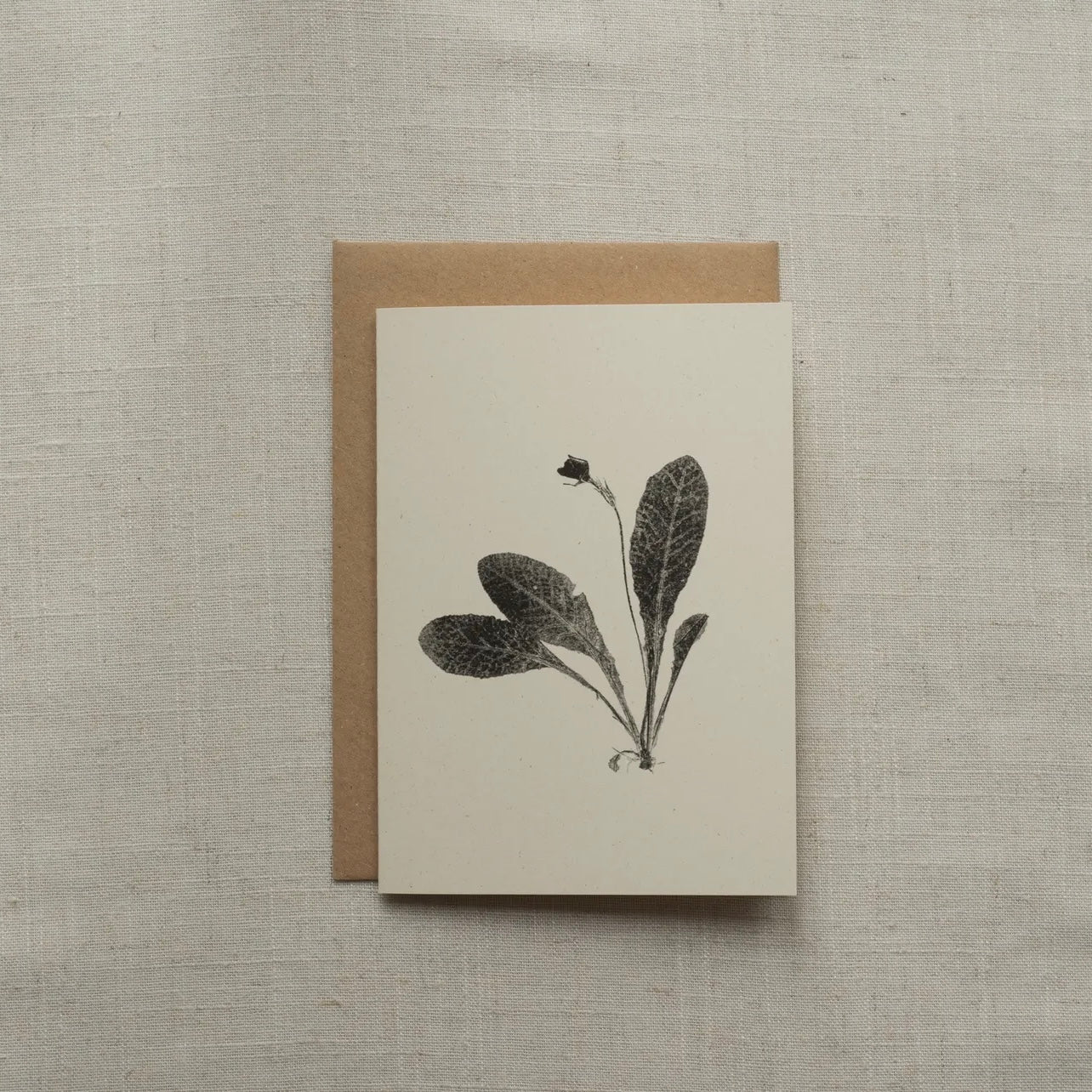 Botanical Greeting Card | Primrose