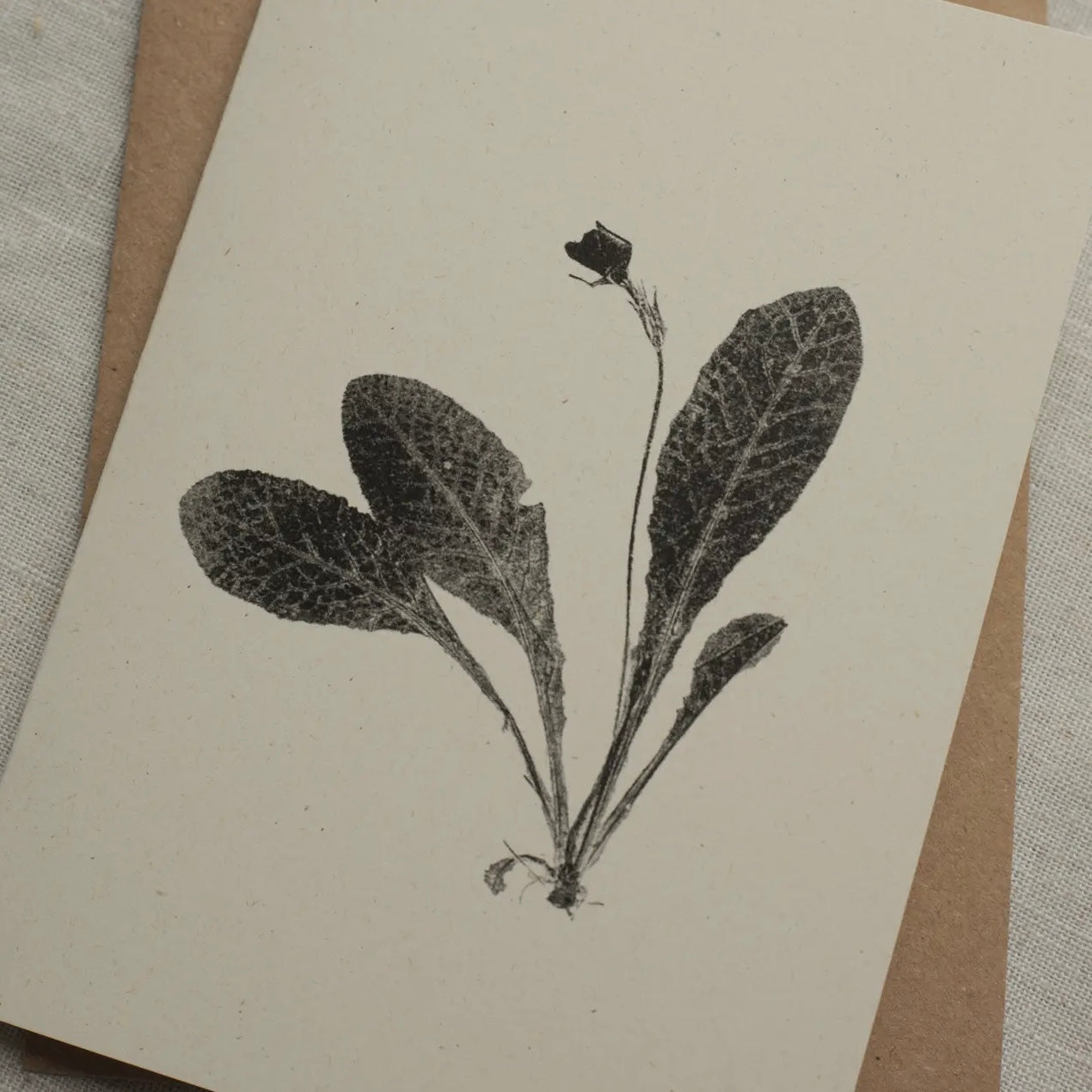 Botanical Greeting Card | Primrose