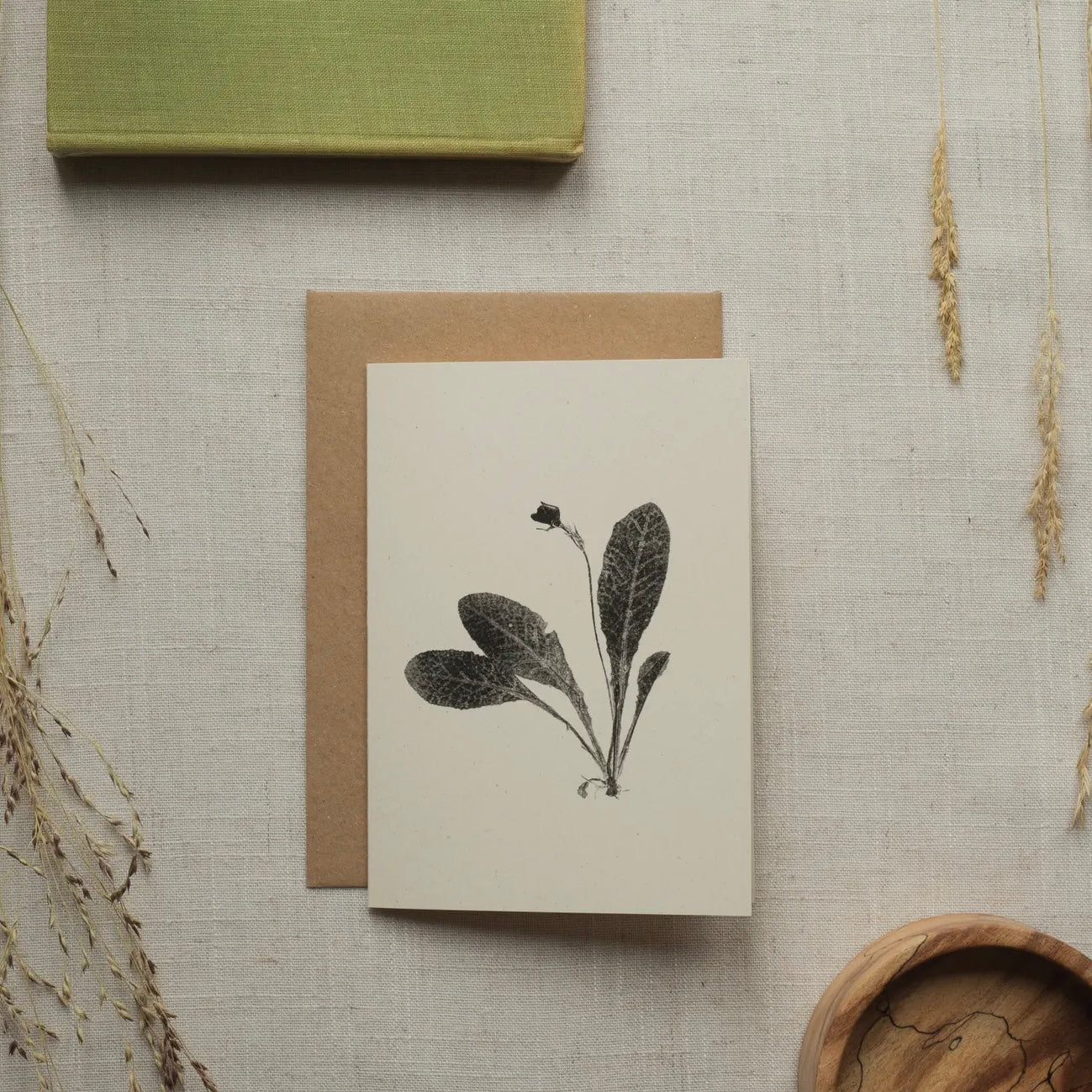 Botanical Greeting Card | Primrose
