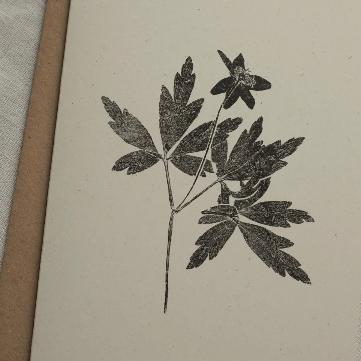 Botanical Greeting Card | Wood Anemone
