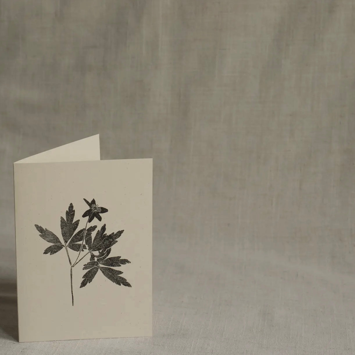 Botanical Greeting Card | Wood Anemone