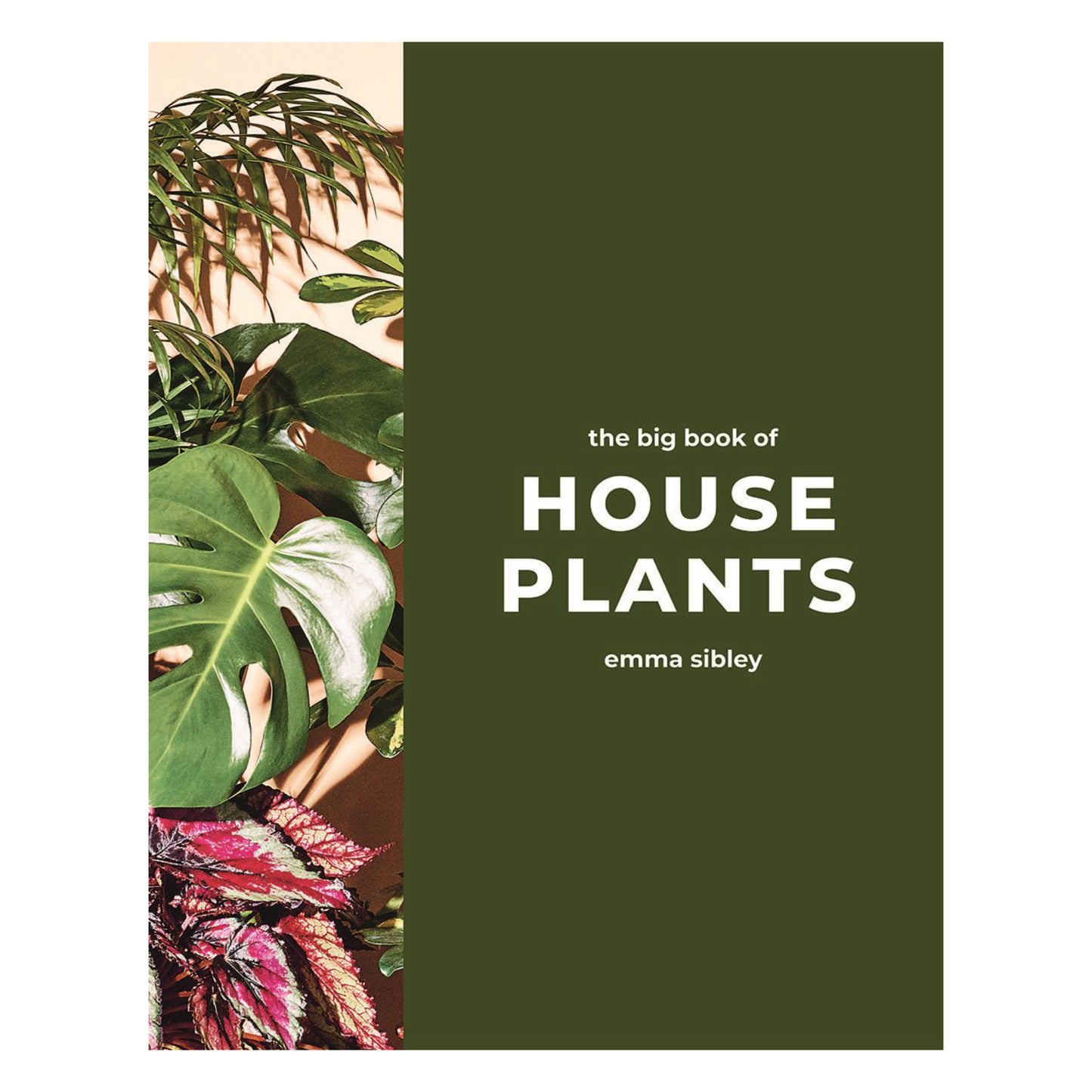 House Plants | Hardback Book