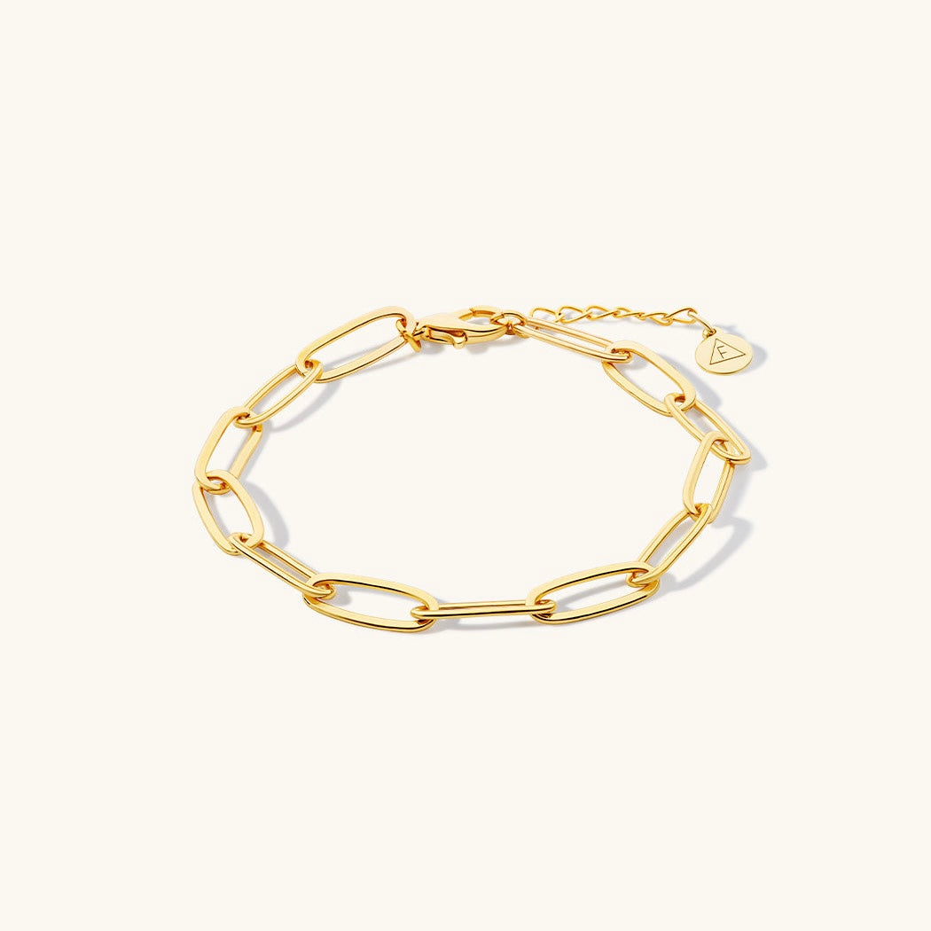 Alice Paperclip Bracelet