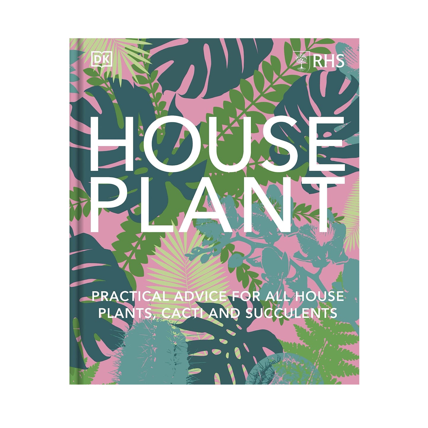 House Plant