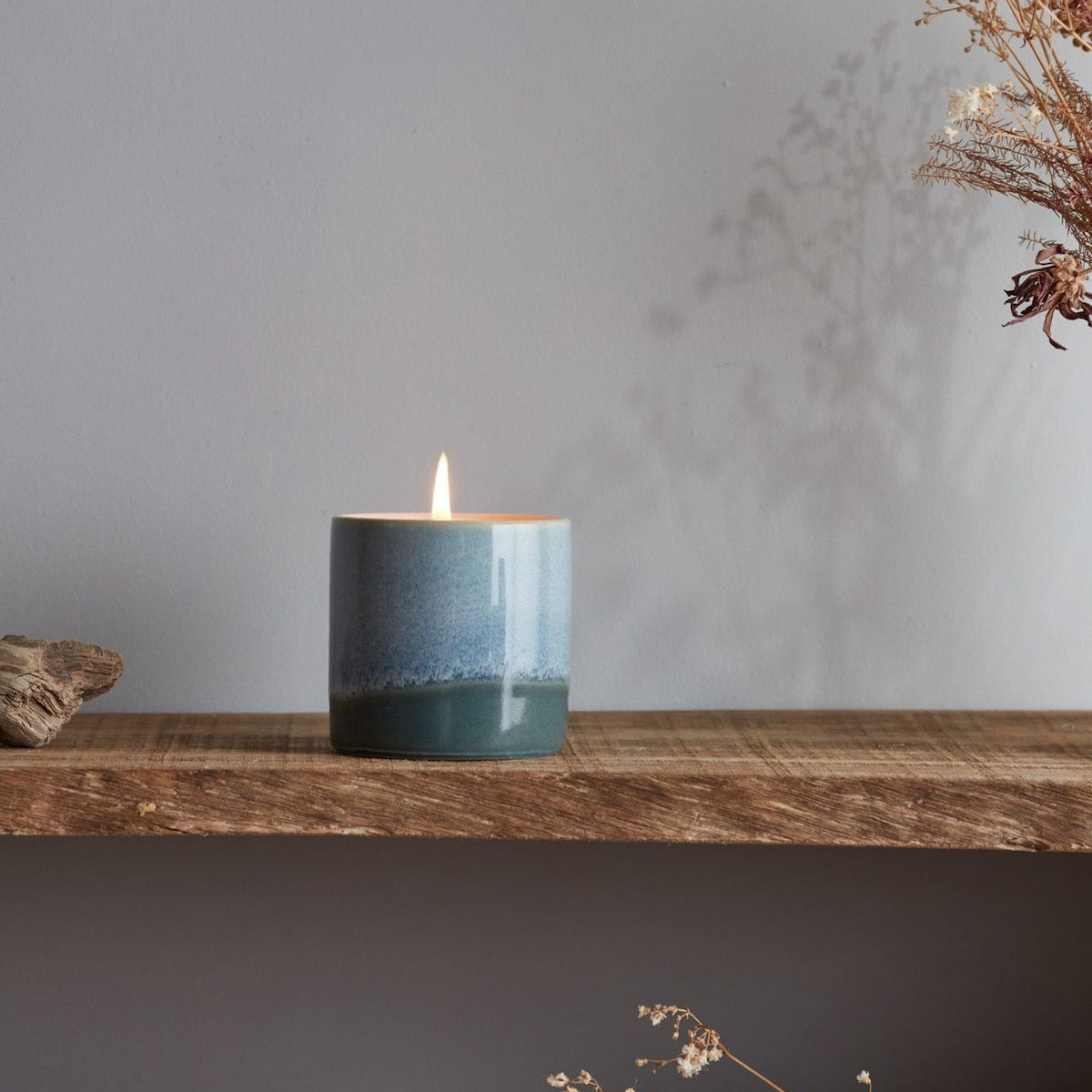 Fig Tree | Sea + Shore Candle Pot