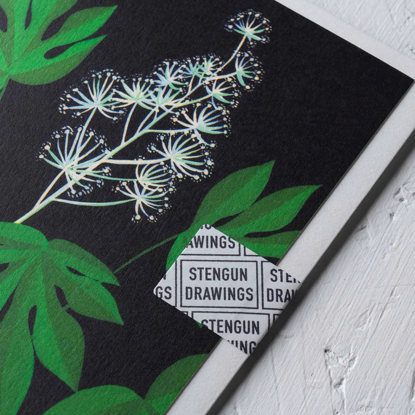 Fatsia Greeting Card