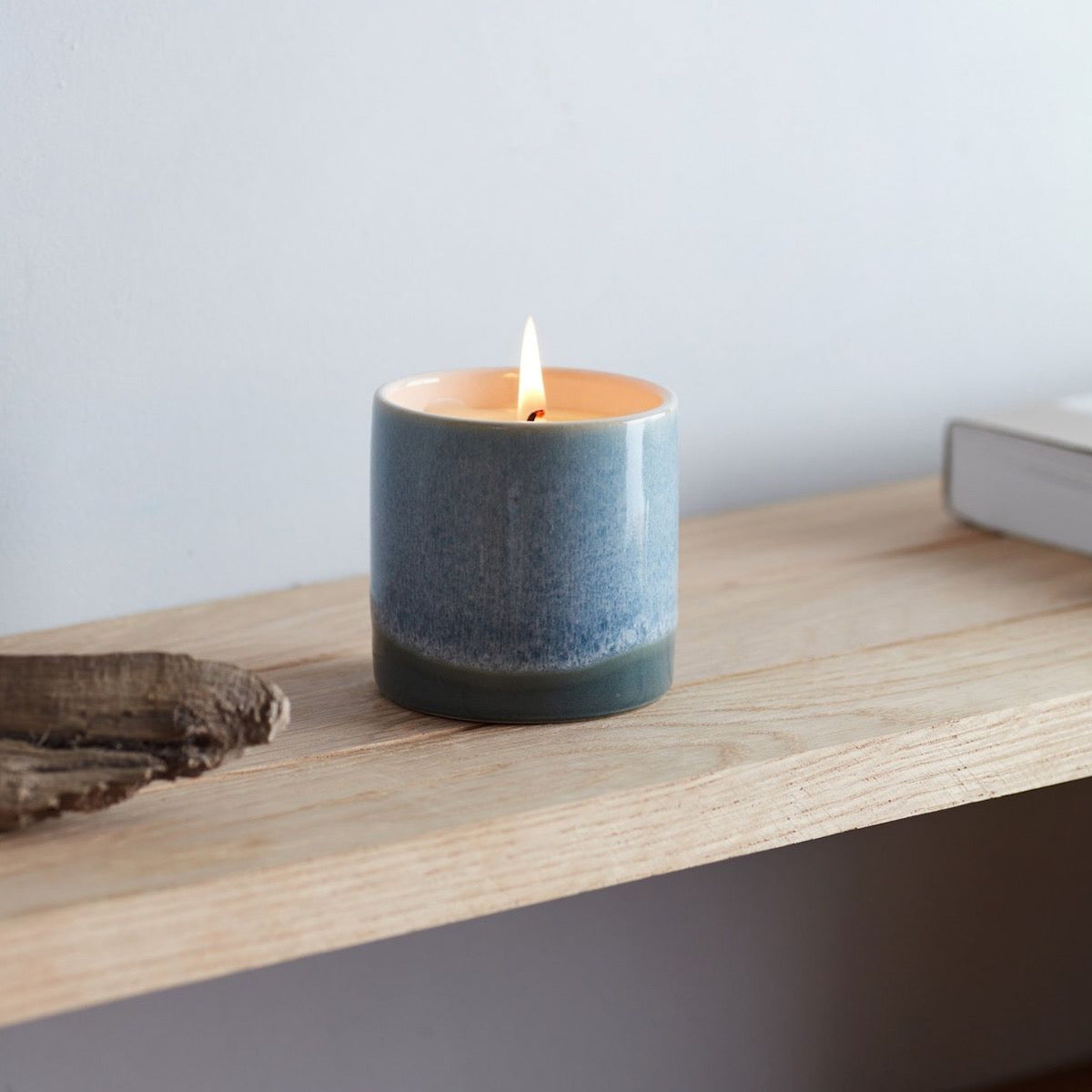 Fig Tree | Sea + Shore Candle Pot