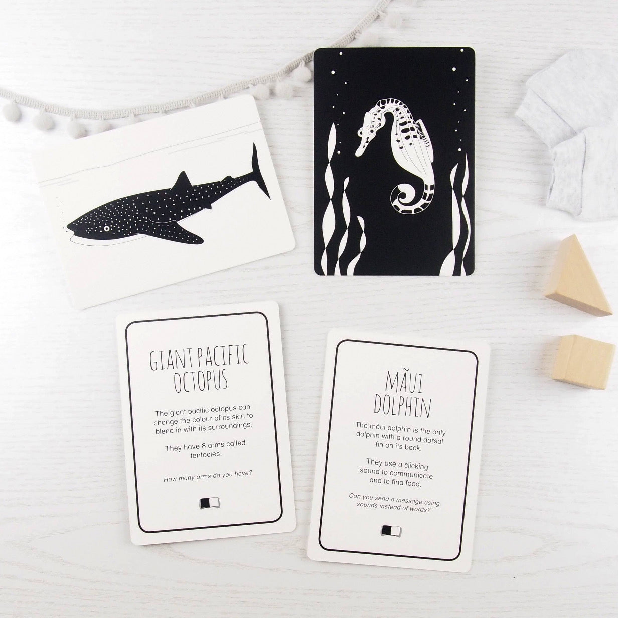 Interactive Flash Card Set - Magnificent Animals from Above