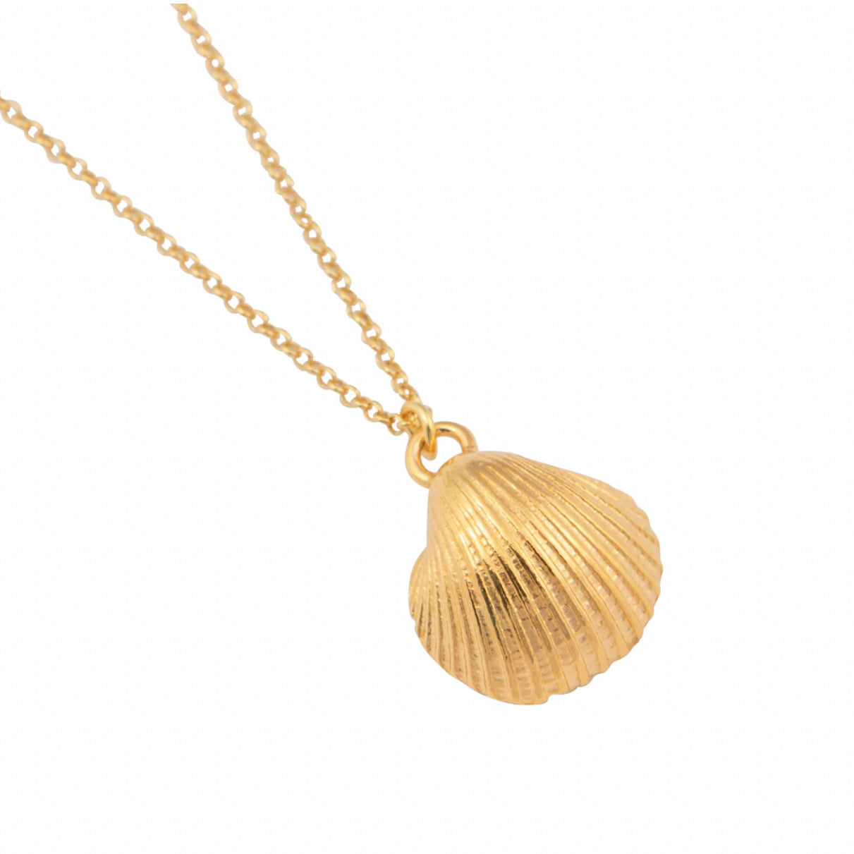 Clam Shell Necklace