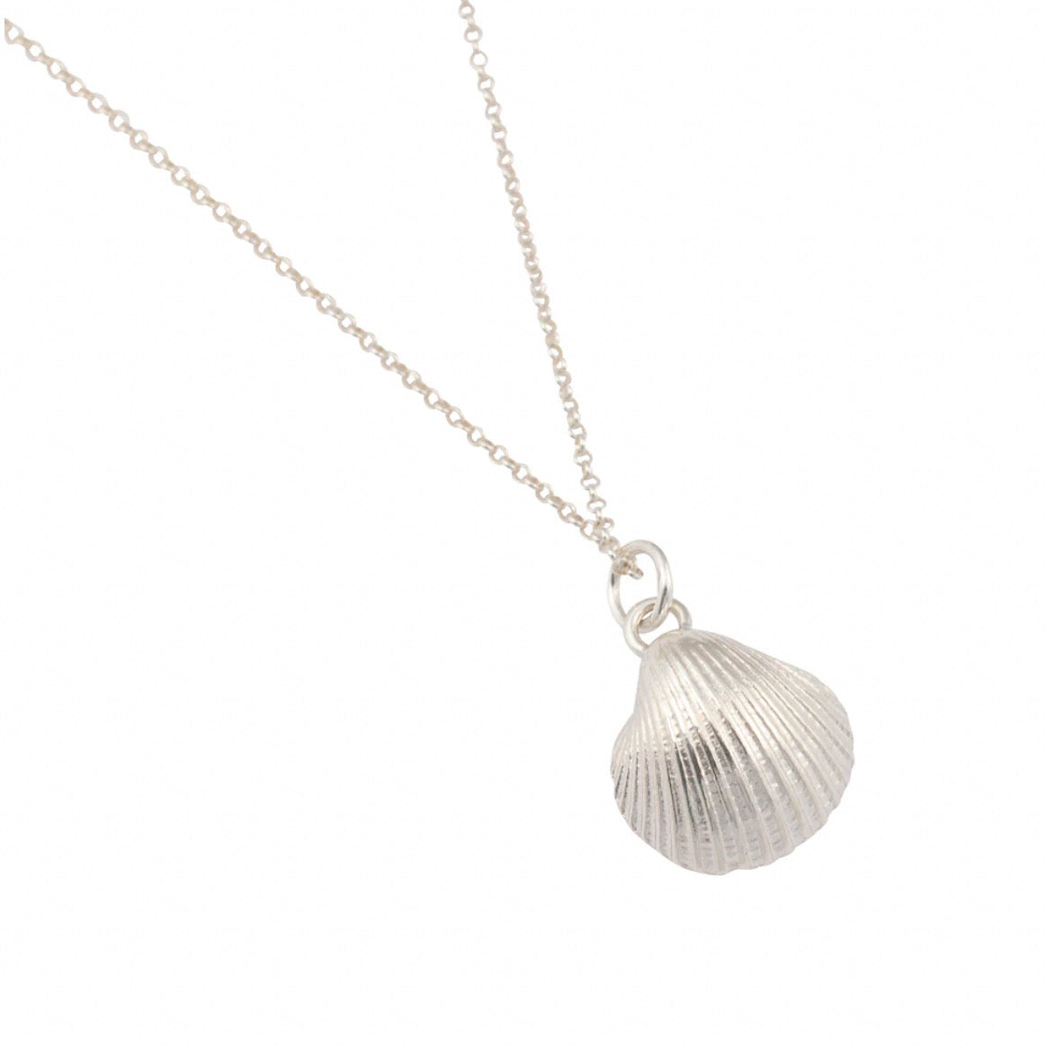 Clam Shell Necklace