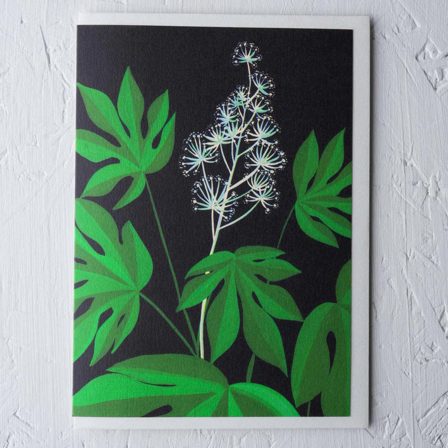 Fatsia Greeting Card