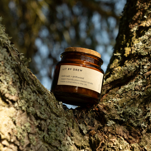 Rock Salt + Driftwood | Small Natural Wax Candle
