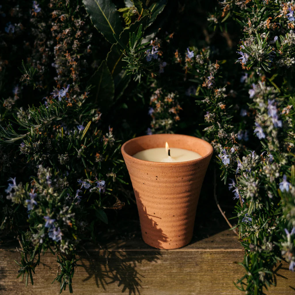 Potager Candle Pot | Bay + Rosemary