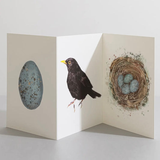 Blackbird Concertina Card