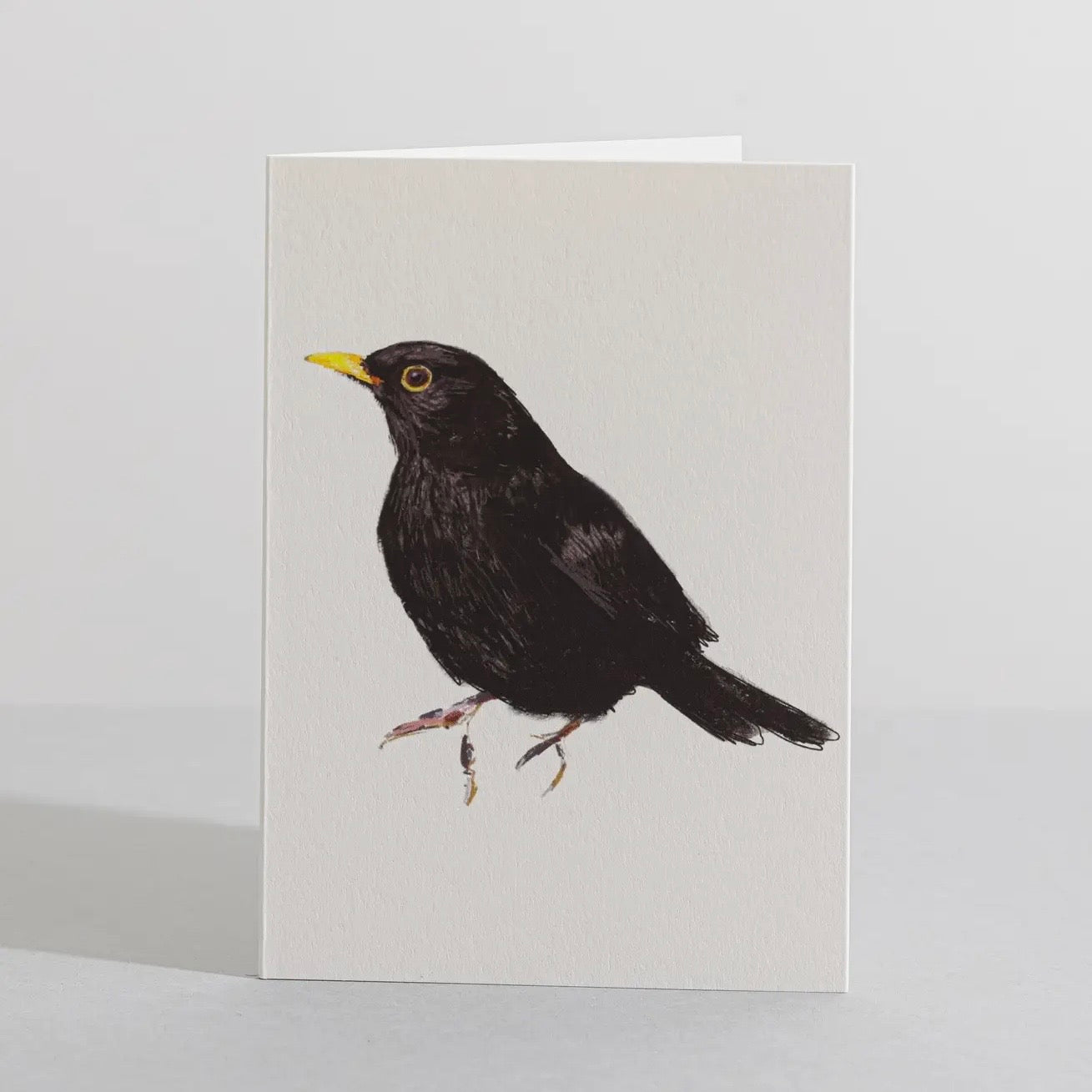 Blackbird Concertina Card