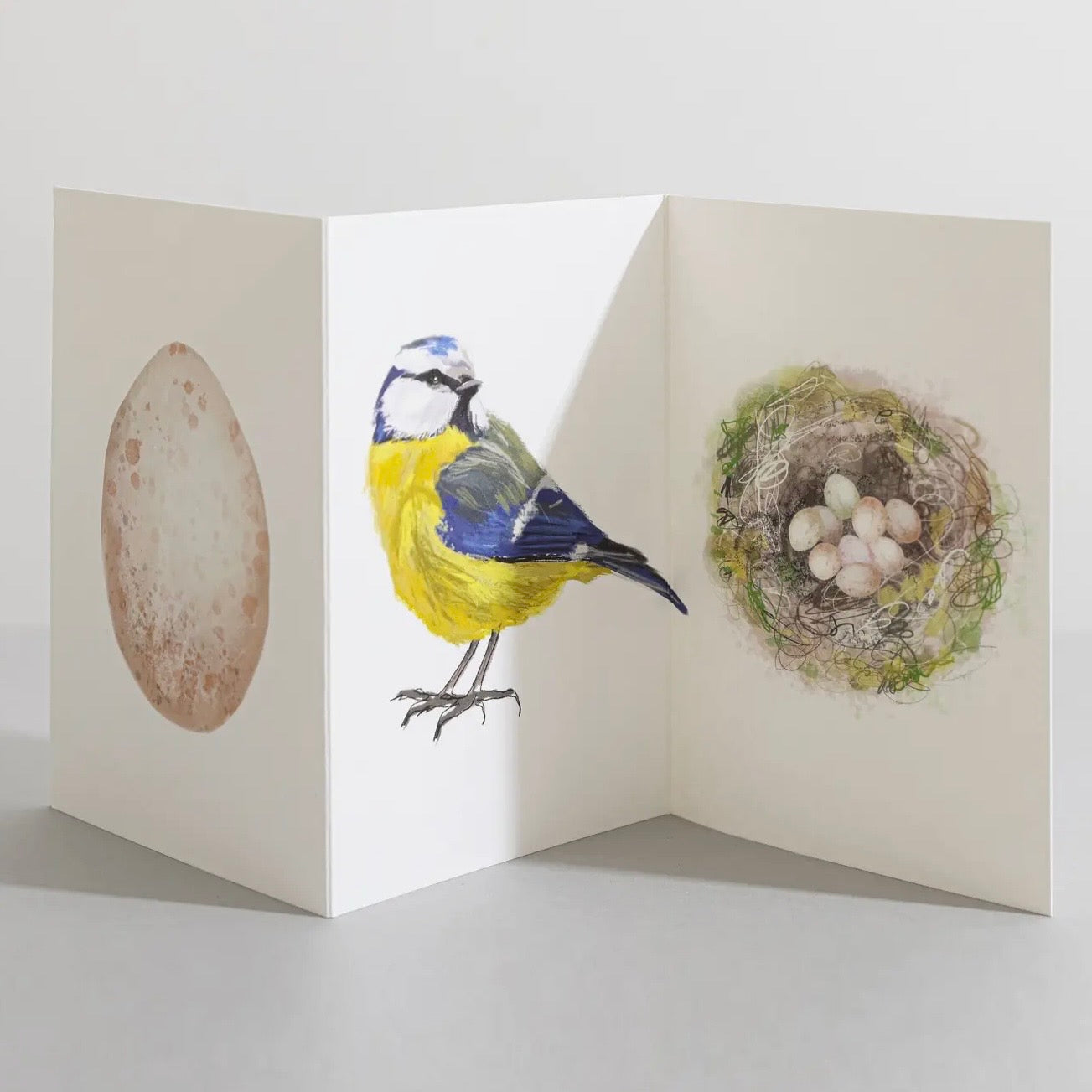 Bluetit Concertina Card