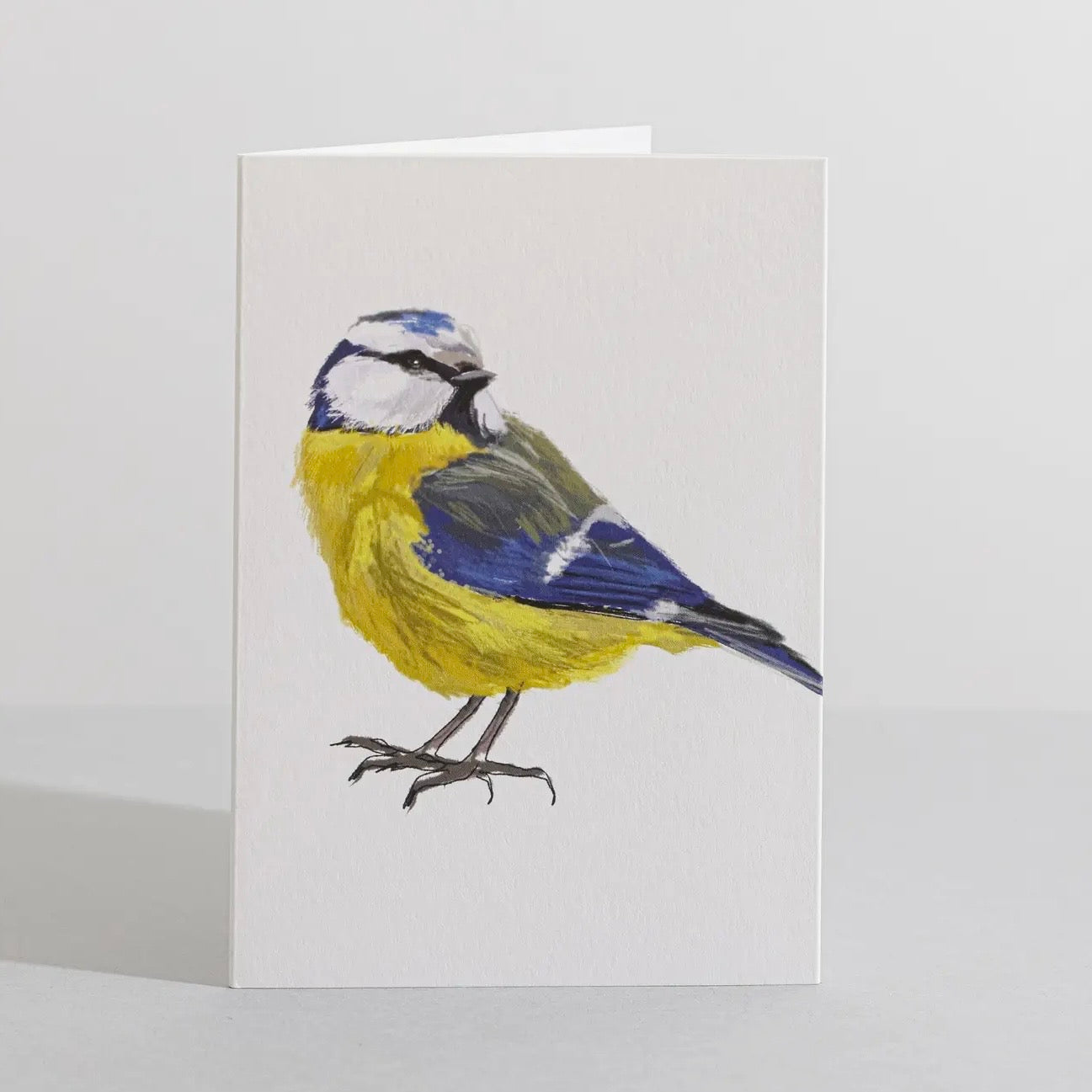 Bluetit Concertina Card