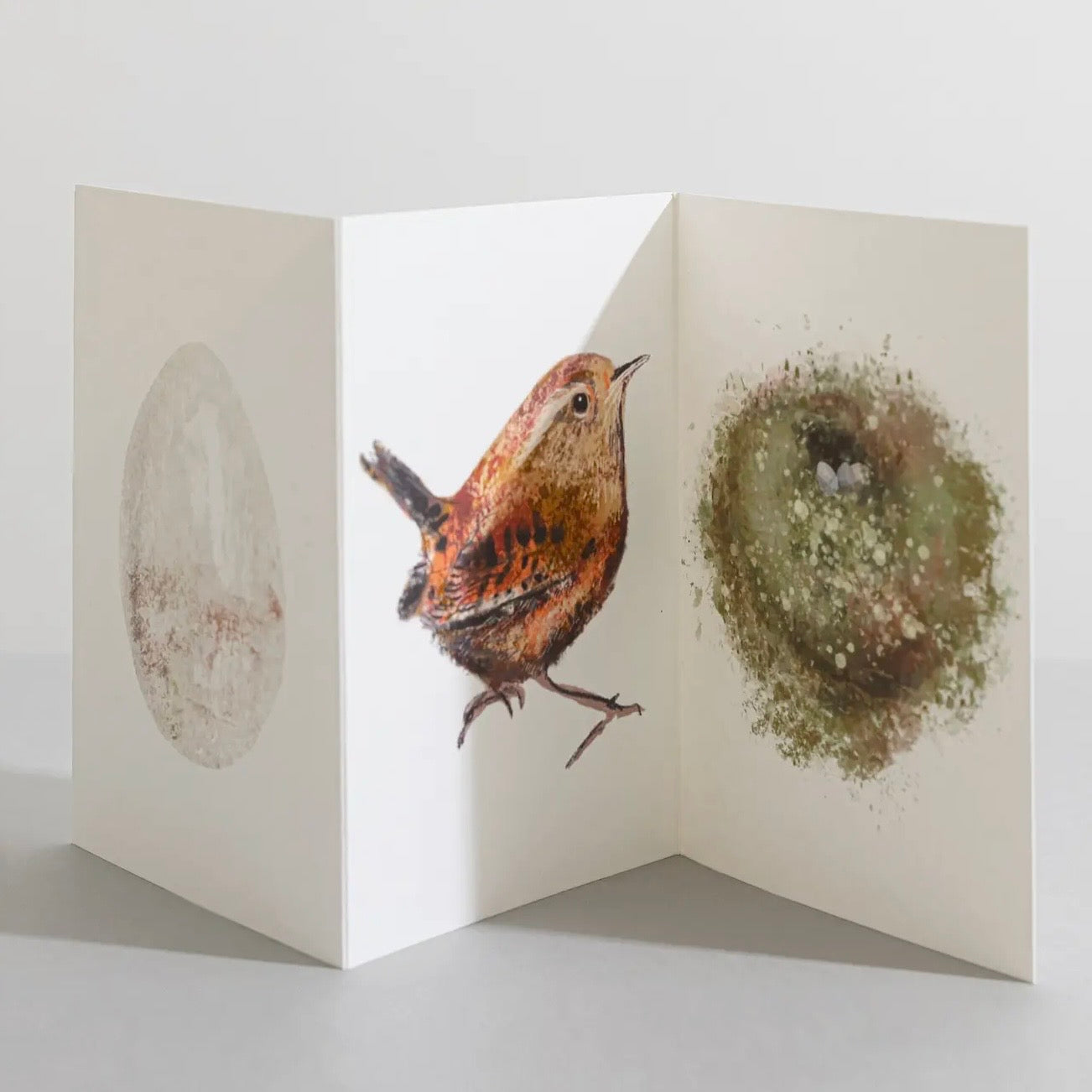 Wren Concertina Card