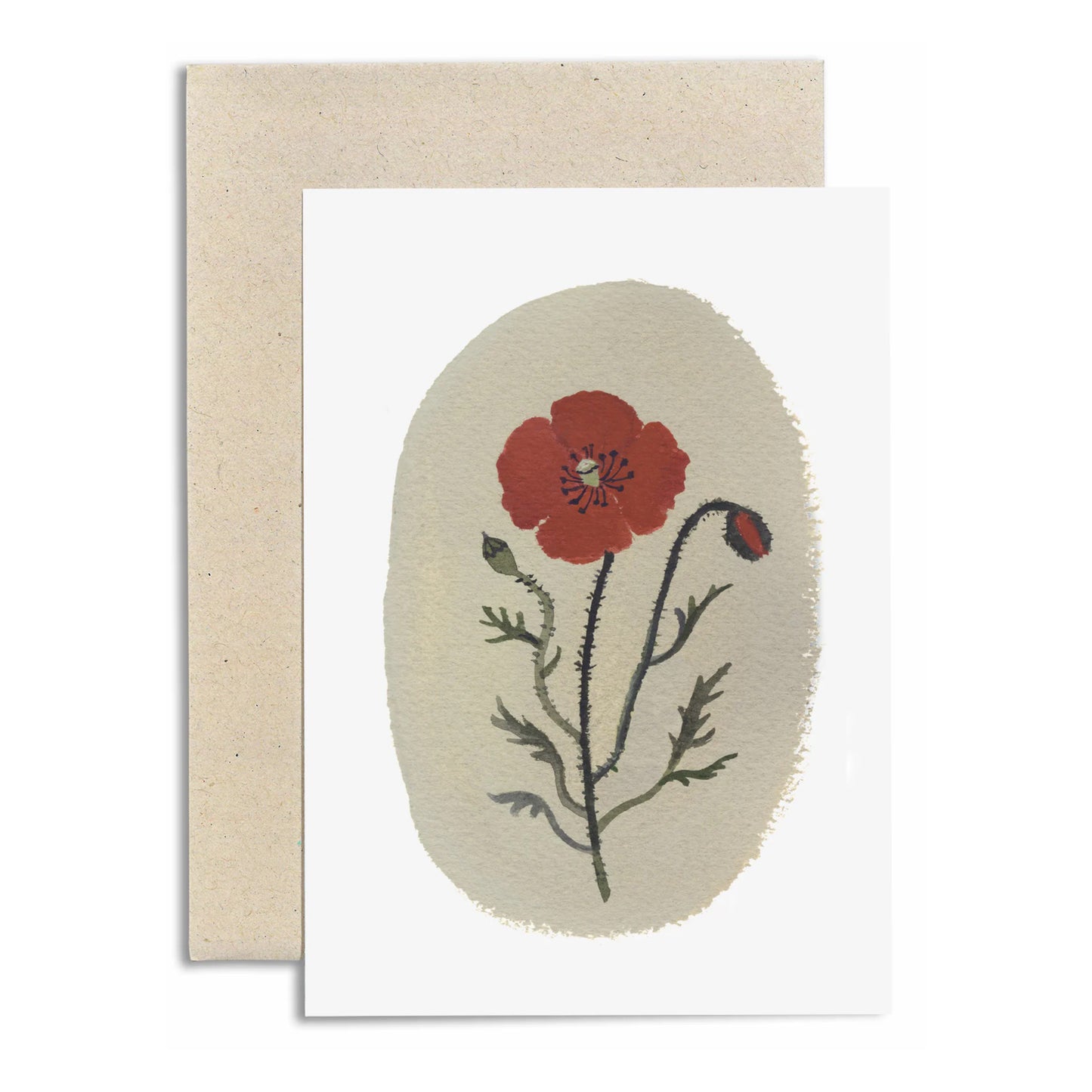 Field Poppy | Card