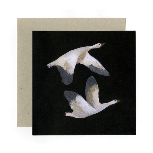 Snow Geese | Card
